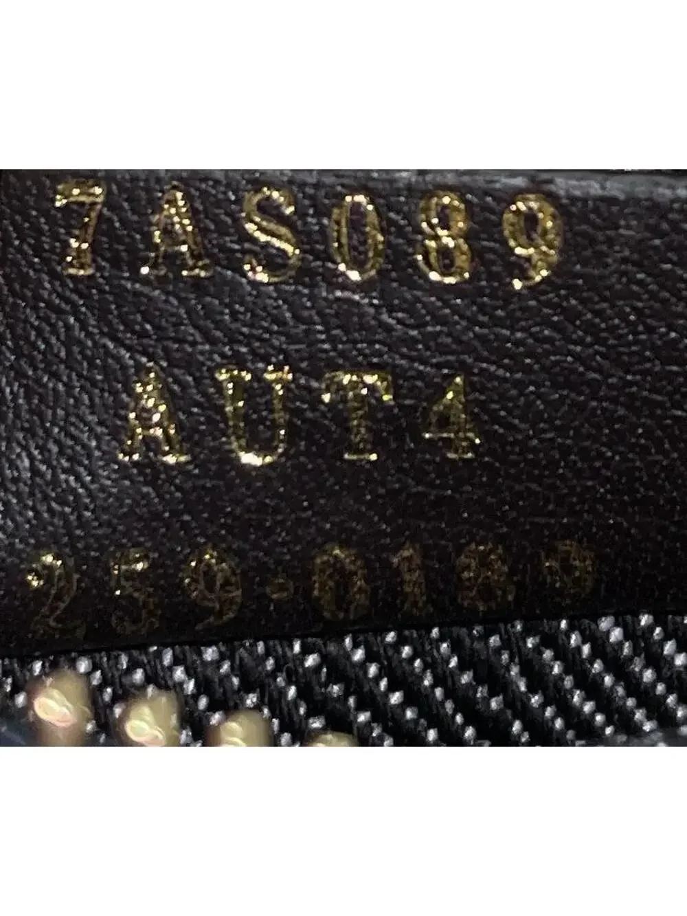 Fendigraphy Bag Zucca Denim Nano #262168F18B